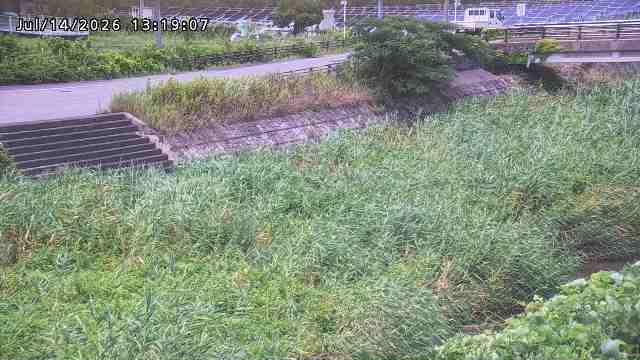 加茂川３2026/07/14 15:20:00