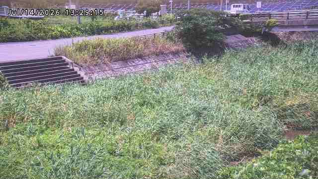 加茂川３2026/07/14 15:20:00