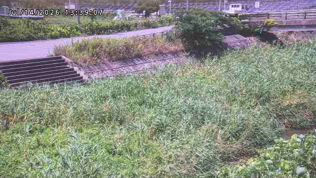 加茂川３2026/07/14 15:20:00