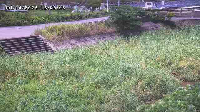 加茂川３2026/07/14 15:20:00