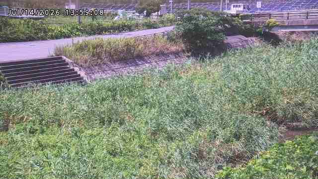 加茂川３2026/07/14 15:20:00