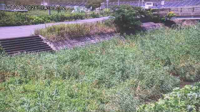 加茂川３2026/07/14 15:20:00
