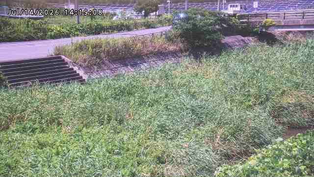 加茂川３2026/07/14 15:20:00