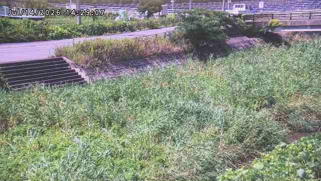 加茂川３2026/07/14 15:20:00