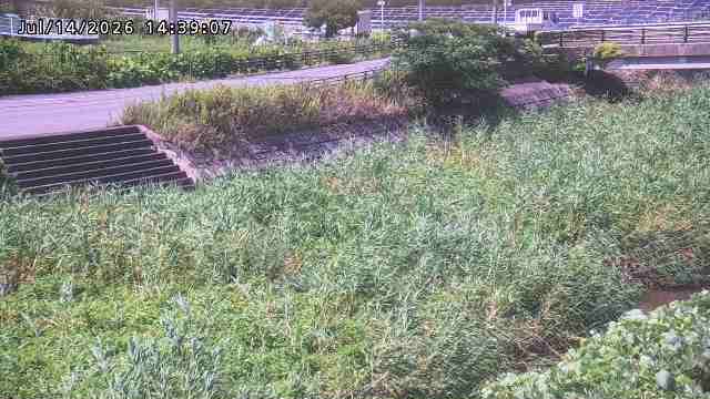 加茂川３2026/07/14 15:20:00