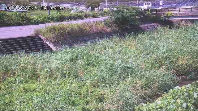 加茂川３2026/07/14 15:20:00