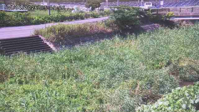 加茂川３2026/07/14 15:20:00
