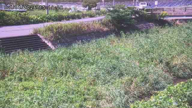 加茂川３2026/07/14 15:20:00