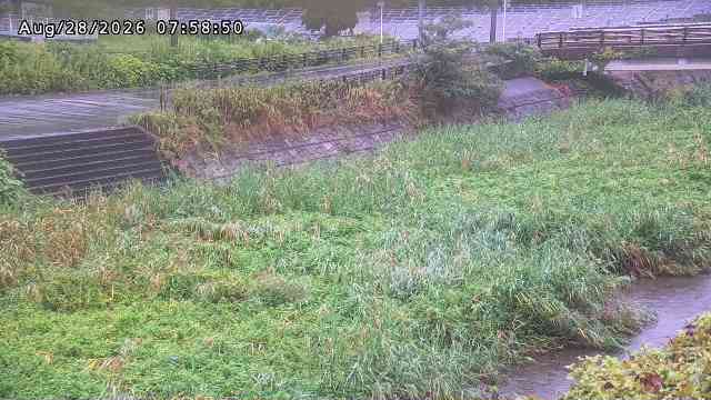 加茂川３2026/08/28 17:00:00