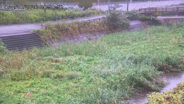加茂川３2026/08/28 17:00:00
