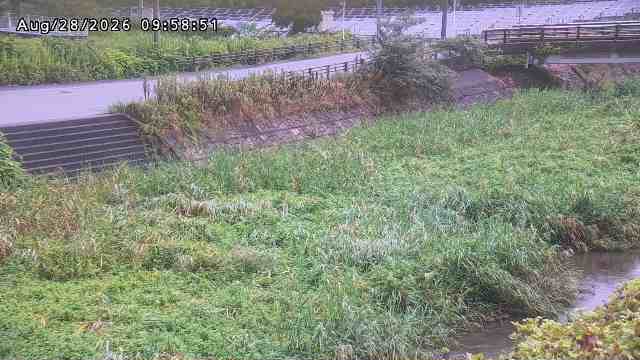 加茂川３2026/08/28 17:00:00