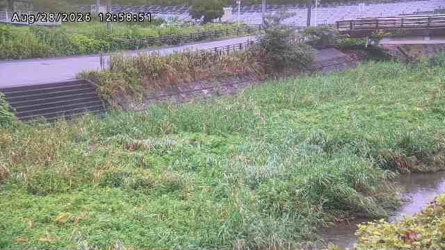 加茂川３2026/08/28 17:00:00