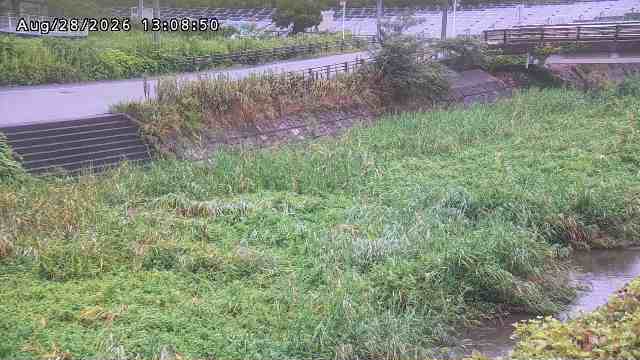 加茂川３2026/08/28 17:00:00