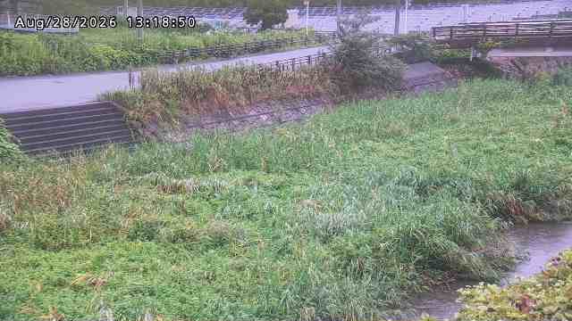 加茂川３2026/08/28 17:00:00