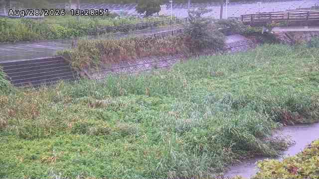加茂川３2026/08/28 17:00:00