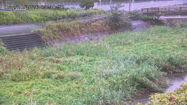 加茂川３2026/08/28 17:00:00