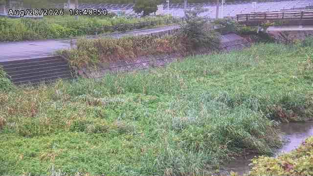 加茂川３2026/08/28 17:00:00