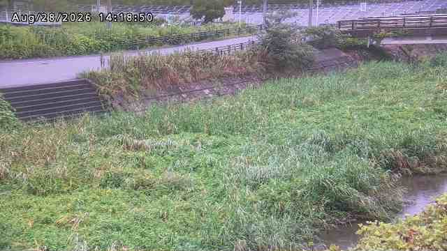 加茂川３2026/08/28 17:00:00