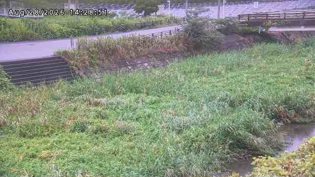 加茂川３2026/08/28 17:00:00