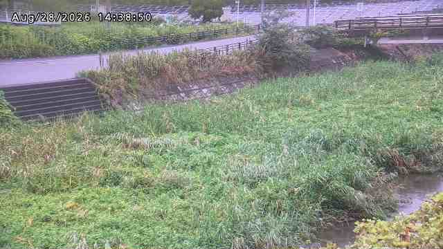 加茂川３2026/08/28 17:00:00
