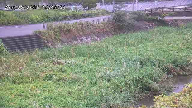 加茂川３2026/08/28 17:00:00