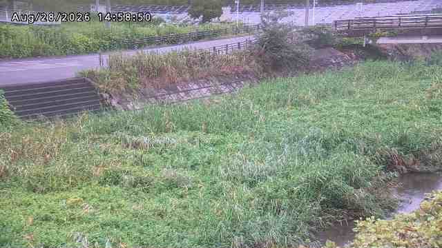 加茂川３2026/08/28 17:00:00
