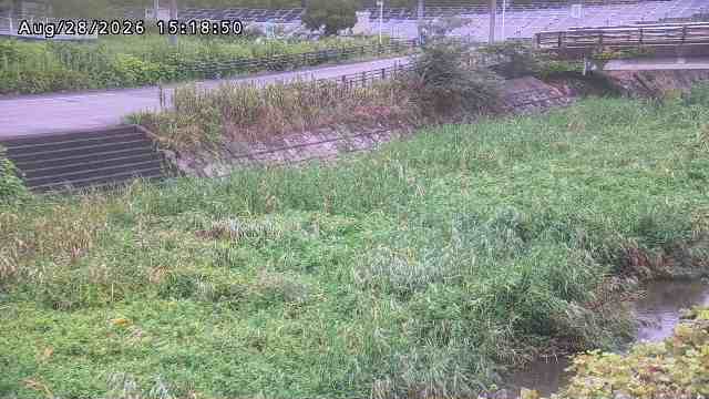 加茂川３2026/08/28 17:00:00