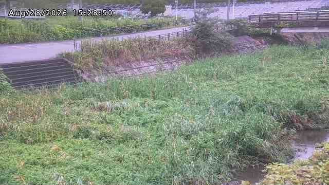 加茂川３2026/08/28 17:00:00