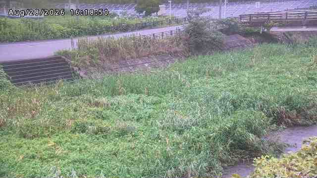 加茂川３2026/08/28 17:00:00