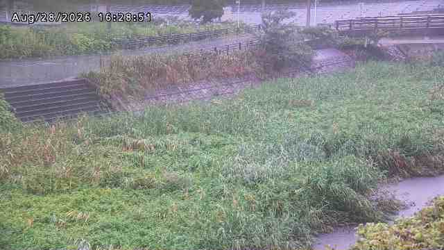 加茂川３2026/08/28 17:00:00
