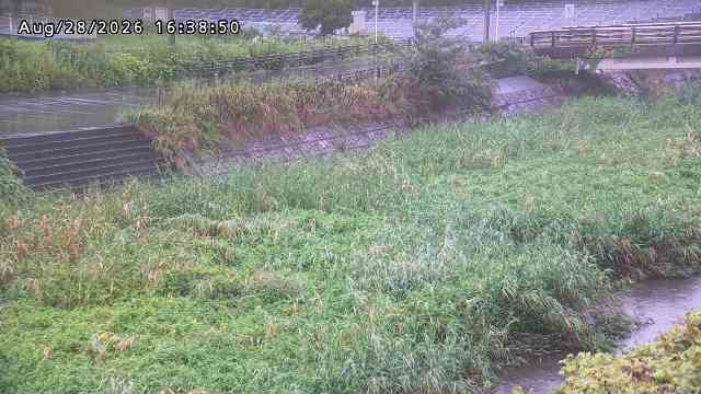 加茂川３2026/08/28 17:00:00