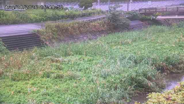 加茂川３2026/08/28 17:00:00