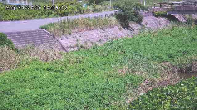 加茂川３2025/08/31 11:20:00