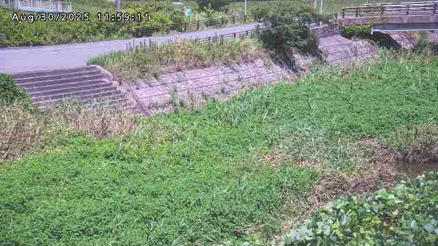 加茂川３2025/08/31 11:20:00