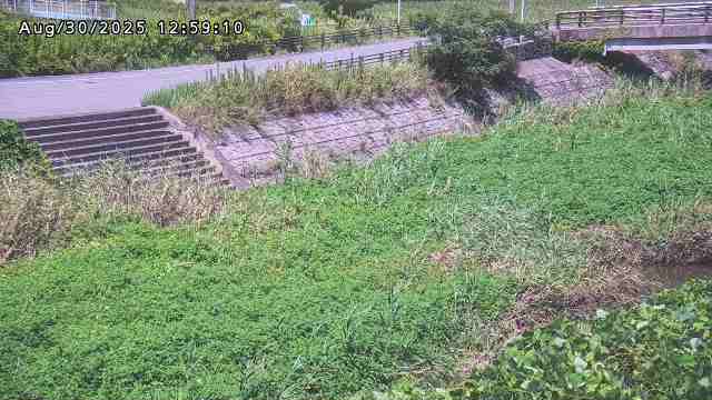 加茂川３2025/08/31 11:20:00
