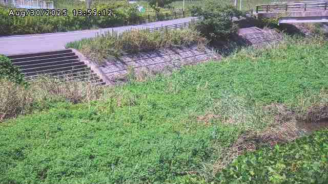 加茂川３2025/08/31 11:20:00