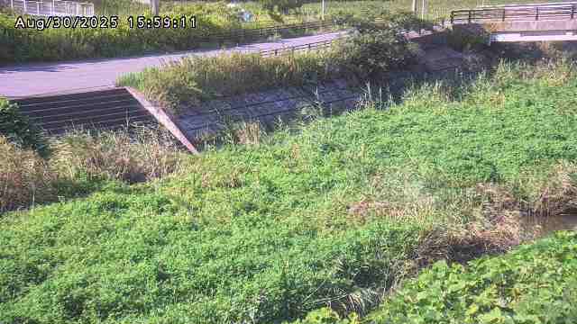 加茂川３2025/08/31 11:20:00