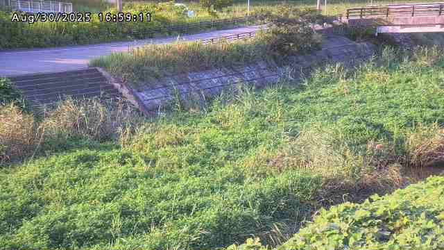 加茂川３2025/08/31 11:20:00