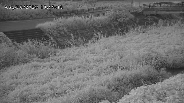 加茂川３2025/08/31 11:20:00