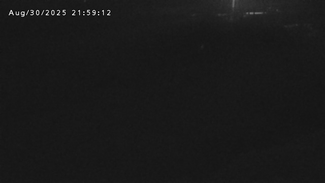 加茂川３2025/08/31 11:20:00
