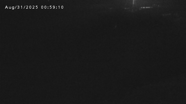 加茂川３2025/08/31 11:20:00