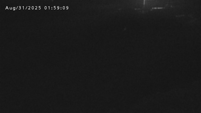 加茂川３2025/08/31 11:20:00