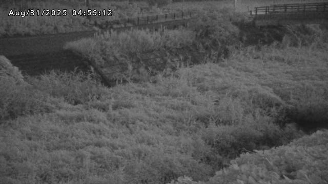 加茂川３2025/08/31 11:20:00
