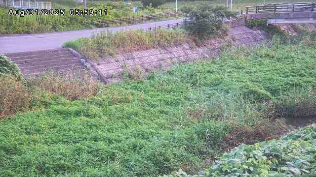 加茂川３2025/08/31 11:20:00