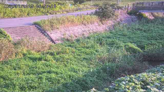 加茂川３2025/08/31 11:20:00