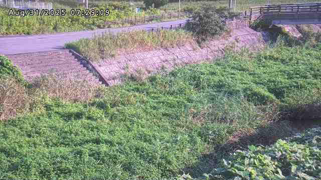 加茂川３2025/08/31 11:20:00