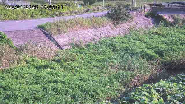 加茂川３2025/08/31 11:20:00