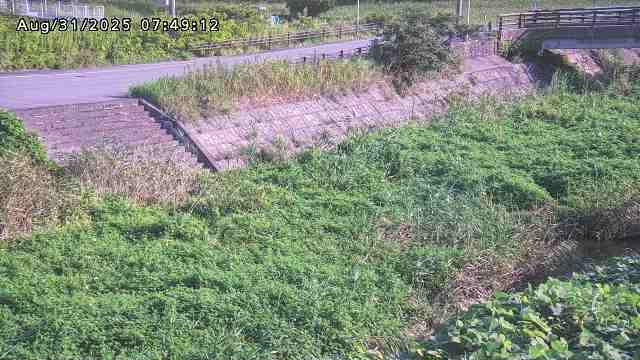 加茂川３2025/08/31 11:20:00