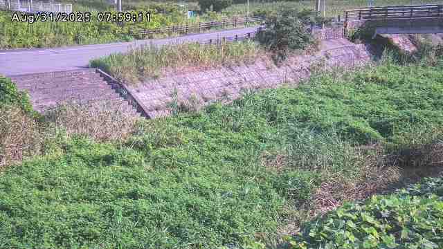 加茂川３2025/08/31 11:20:00