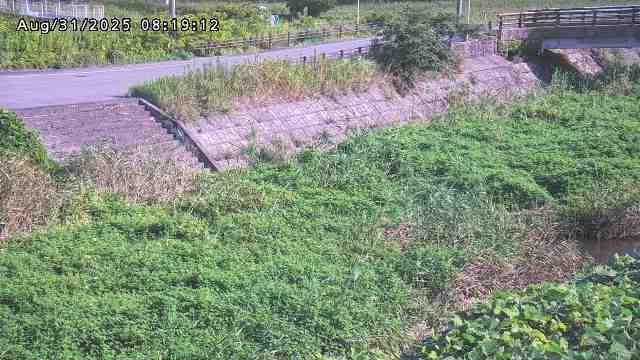 加茂川３2025/08/31 11:20:00